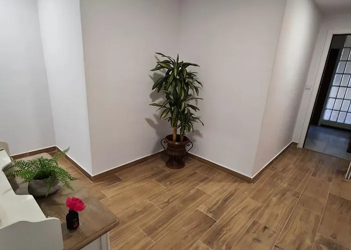 Jerez Centro 5 Terrazas Con Vistas Alcazar Y Plaza Arenal