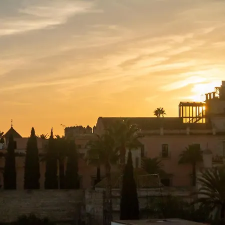 Jerez Centro 5 Terrazas Con Vistas Alcazar Y Plaza Arenal Apartman